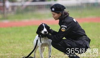 警花与警犬-在线观看,热血守护，共筑平安防线  第2张