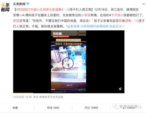 磁县爆料热点事件视频播放,视频揭秘惊人真相，网友热议不断