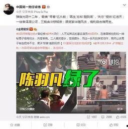 咸阳出轨爆料视频最新,真相与争议交织
